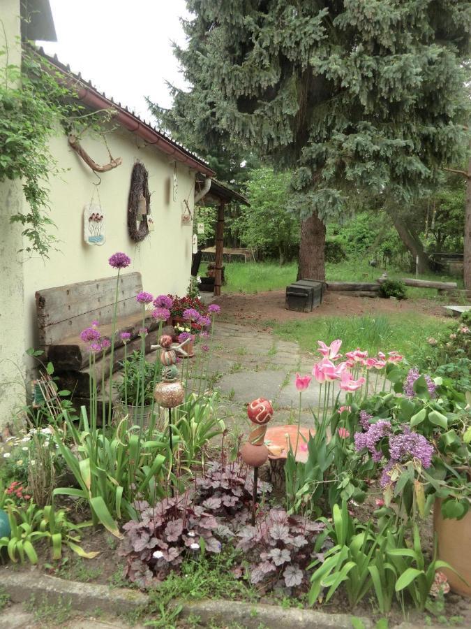 Linas Toepferhof Appartement Weißenfels Buitenkant foto
